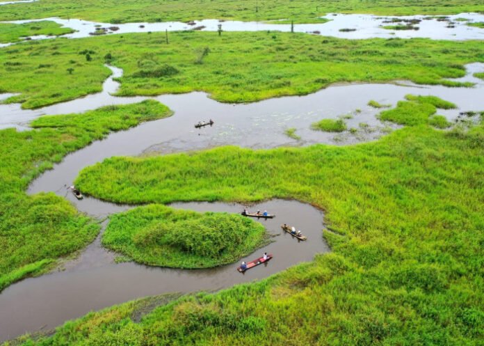 Pemprov Kaltim Dukung Rencana Aksi Pengelolaan Kawasan Ekosistem Penting Lahan Basah Mesangat-suwi di Kutim