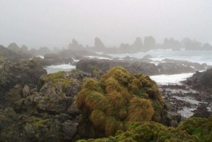 Gempa berkekuatan 6,7 magnitudo mengguncang Pulau Macquarie di Australia, tanpa adanya ancaman tsunami.