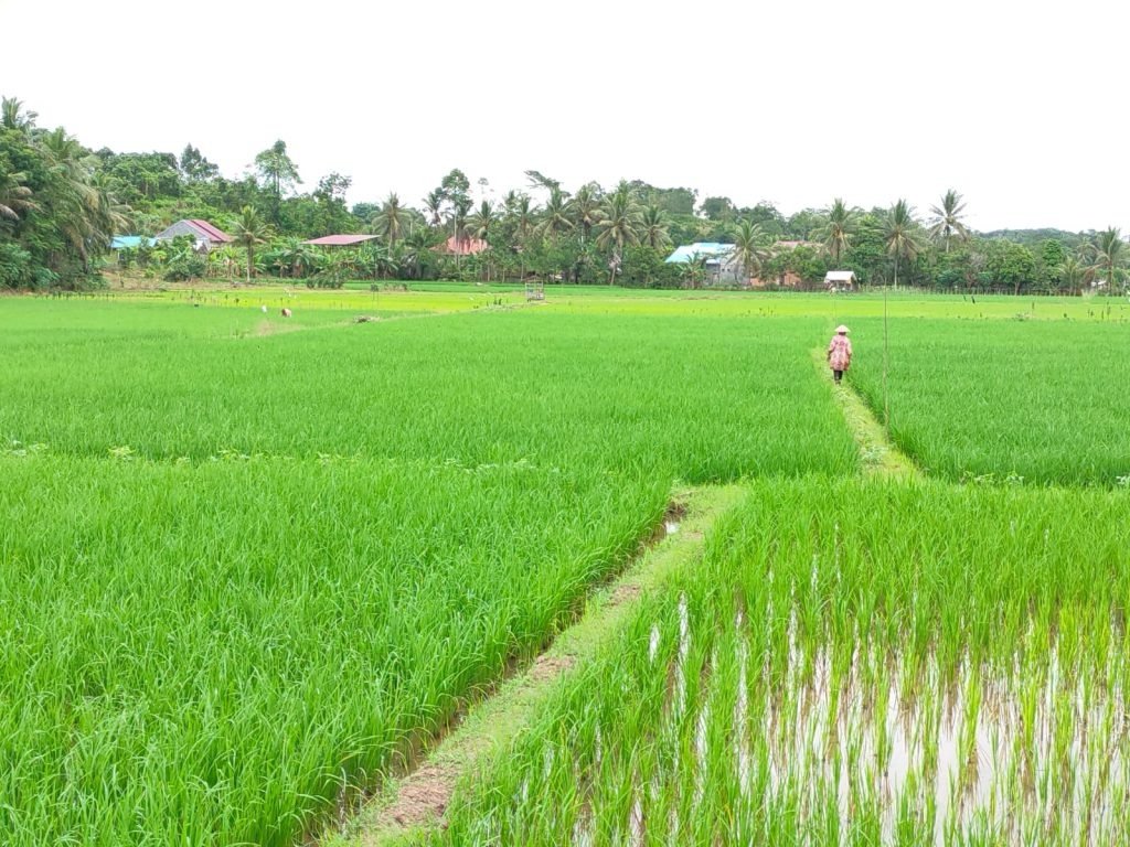 WhatsApp Image 2025-06-14 at 21.06.12_a1c64faf