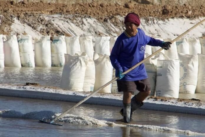 WhatsApp Image 2025-07-03 at 21.00.58_5acf5dde