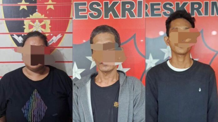 WhatsApp Image 2025-07-16 at 00.39.28_f77f5b69