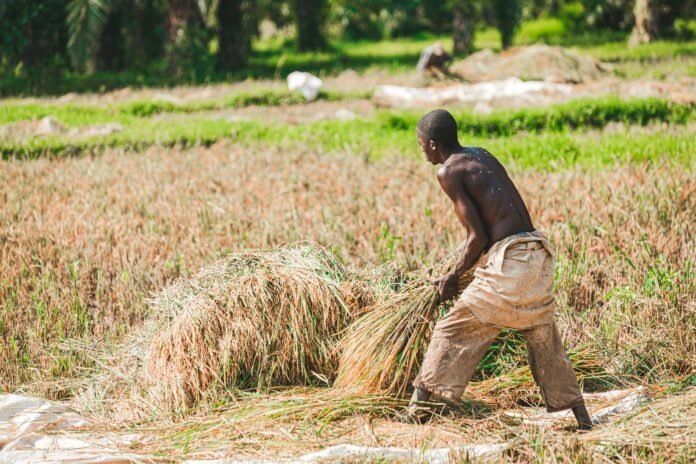 pexels-safari-consoler-3290243-11196886