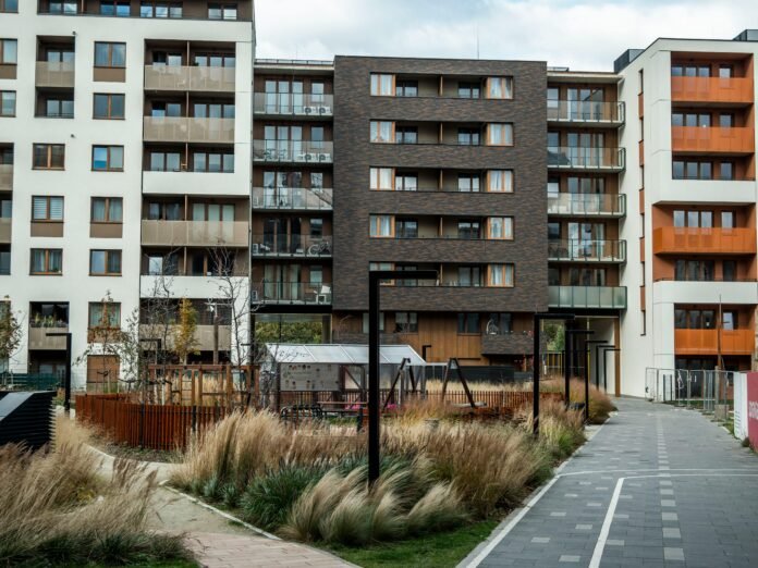 pexels-shox-34360412